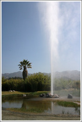 Old Faithful Geyser of California.