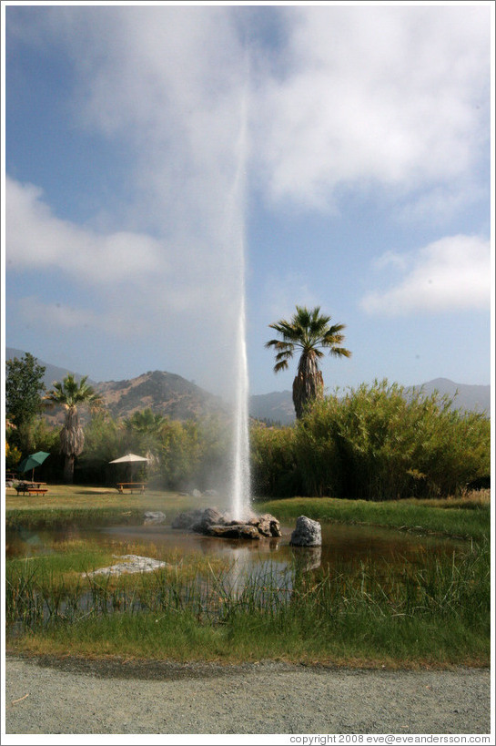 Old Faithful Geyser of California.