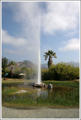 Old Faithful Geyser of California.