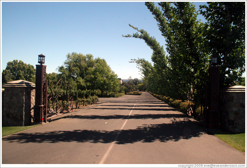 Peju Province Winery.