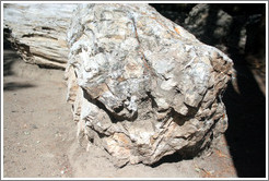 Three million-year old petrified log.  The Petrified Forest.