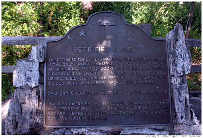 Plaque.  The Petrified Forest.