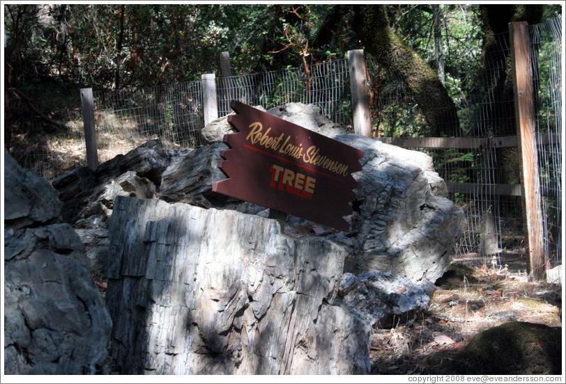 Robert Louis Stevenson Tree.  Three million-year old petrified log.  The Petrified Forest.