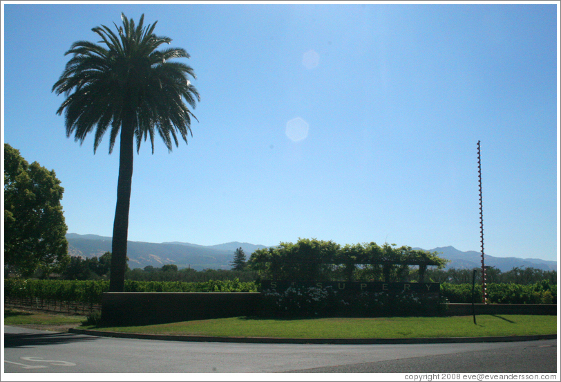 St. Sup&eacute;ry Winery.