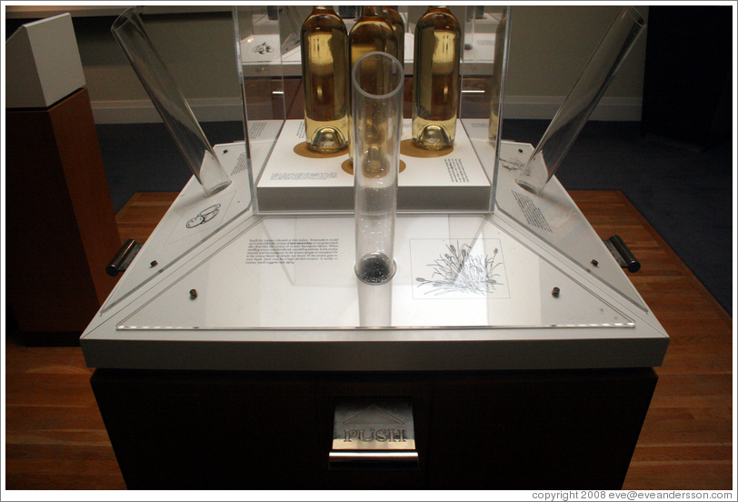 SmellaVision, for learning to identify different aromas in wine.  St. Sup&eacute;ry Winery.