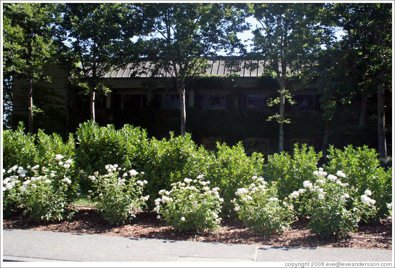 Tasting room.  St. Sup&eacute;ry Winery.