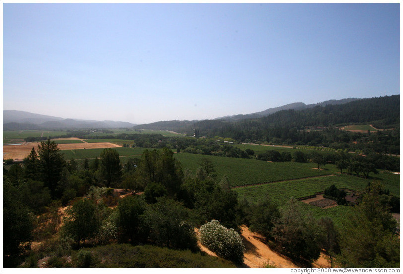 View from patio.  Sterling Vineyards.
