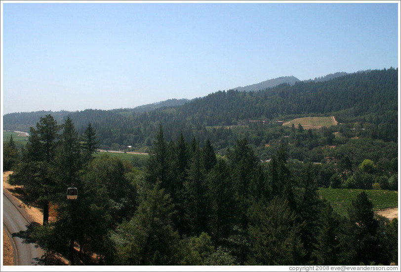 View from aerial tram.  Sterling Vineyards.