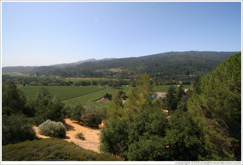 View from patio.  Sterling Vineyards.