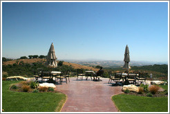 Picnic area.  Calcareous Vineyard.