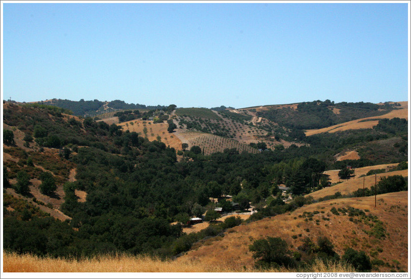 View.  Calcareous Vineyard.