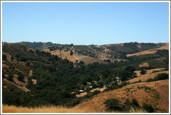 View.  Calcareous Vineyard.