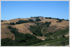 View.  Calcareous Vineyard.