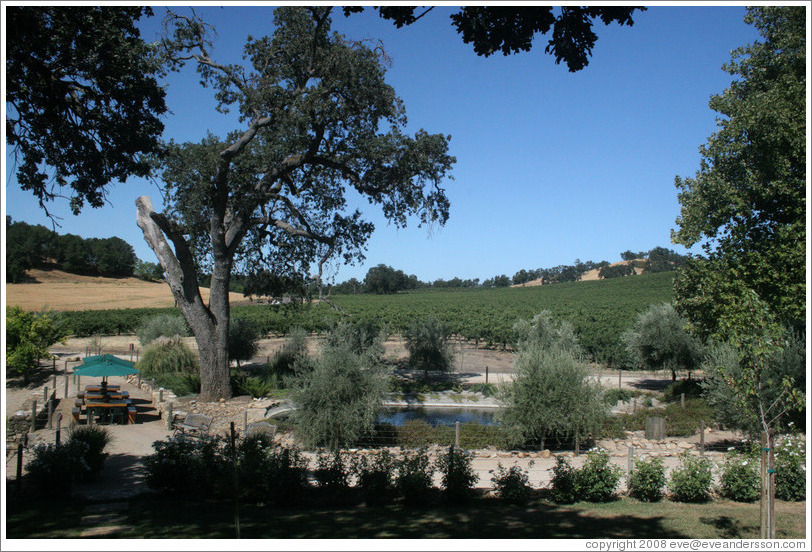 Picnic area and pond.  Carmody McKnight Estate.