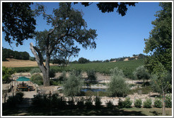 Picnic area and pond.  Carmody McKnight Estate.