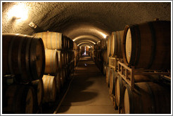 Barrels in cave.  Eberle Winery.