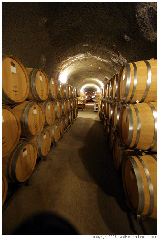 Barrels in cave.  Eberle Winery.