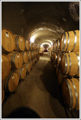 Barrels in cave.  Eberle Winery.
