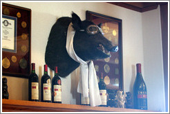 Boar's head.  Eberle Winery.