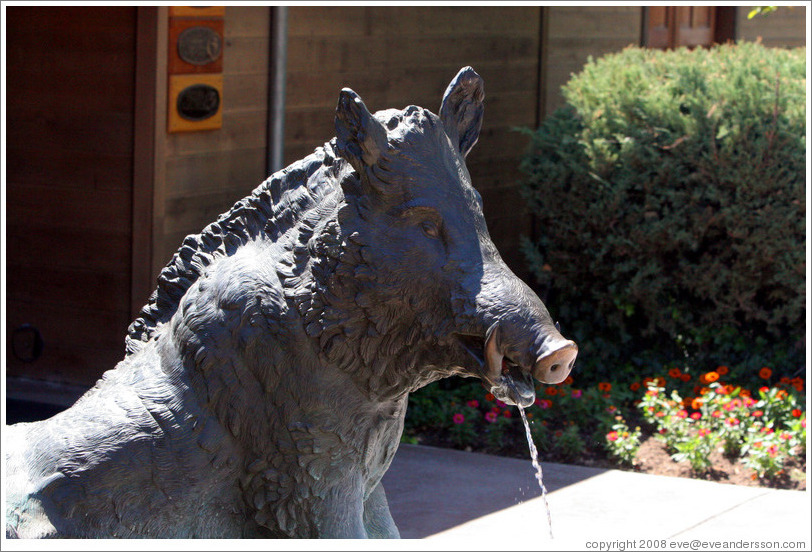 Porcellino (wild boar) statue.  93rd replica of the original bronze Porcellino cast by Tacca in 1620.  Eberle Winery.