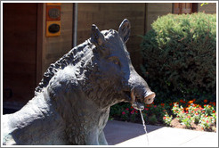 Porcellino (wild boar) statue.  93rd replica of the original bronze Porcellino cast by Tacca in 1620.  Eberle Winery.