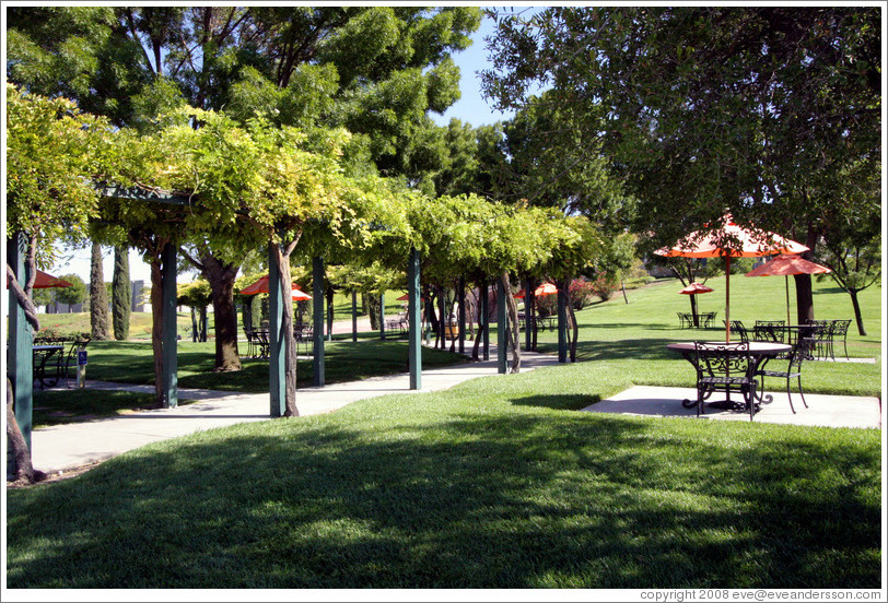 Picnic area.  EOS Estate Winery.