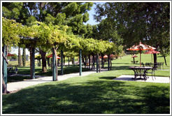 Picnic area.  EOS Estate Winery.