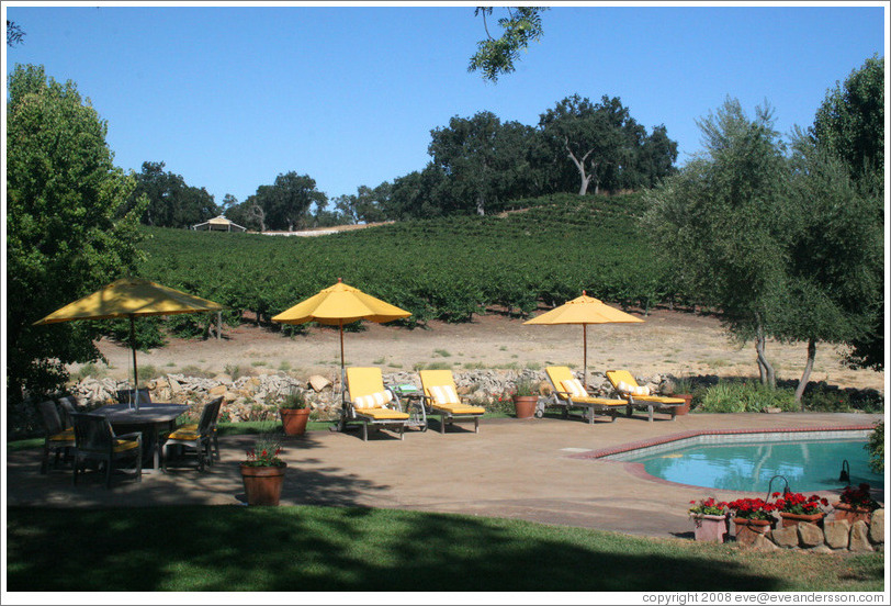 Pool at JUST Inn surrounded by vineyard.  Justin Vineyards and Winery.
