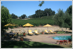 Pool at JUST Inn surrounded by vineyard.  Justin Vineyards and Winery.