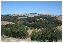 Previous Photo