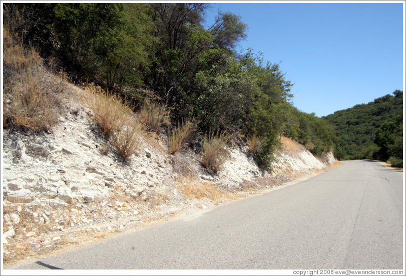 Calcareous soil typical of Western Paso Robles.