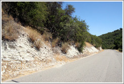 Calcareous soil typical of Western Paso Robles.