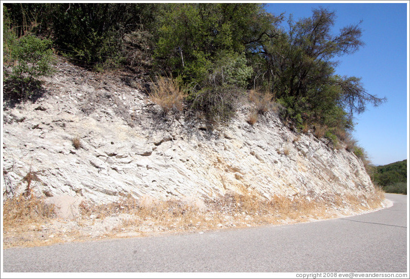 Calcareous soil typical of Western Paso Robles.