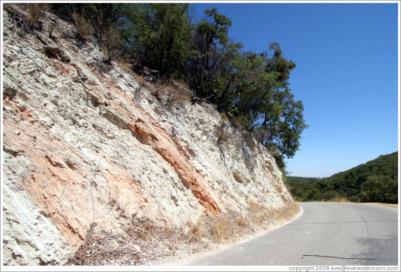 Calcareous soil typical of Western Paso Robles.