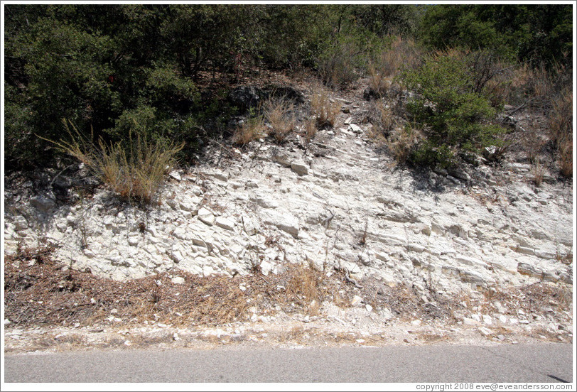 Calcareous soil typical of Western Paso Robles.