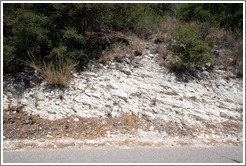 Calcareous soil typical of Western Paso Robles.