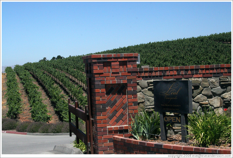 L&eacute;al Vineyards.