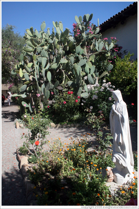 Garden.  San Juan Bautista Mission.