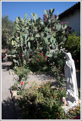 Garden.  San Juan Bautista Mission.