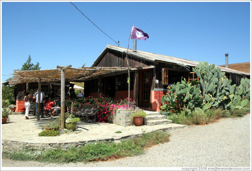 Tasting room.  Alma Rosa Winery and Vineyards.