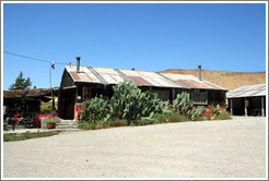 Tasting room.  Alma Rosa Winery and Vineyards.