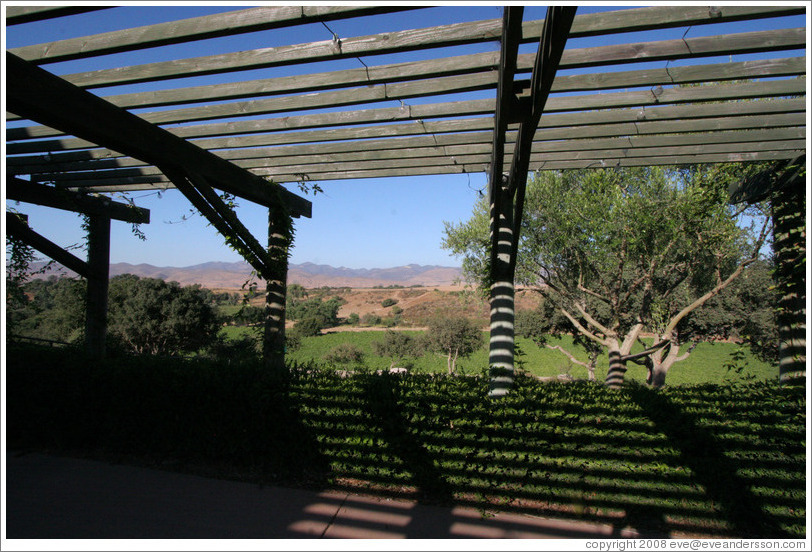 View from picnic area.  Cottonwood Canyon Vineyard and Winery.