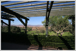 View from picnic area.  Cottonwood Canyon Vineyard and Winery.