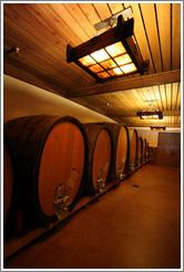 Large oval barrels, which impart less oak flavor into wine than traditional barrels.  Gainey Vineyard.