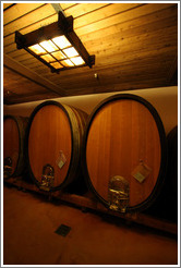 Large oval barrels, which impart less oak flavor into wine than traditional barrels.  Gainey Vineyard.