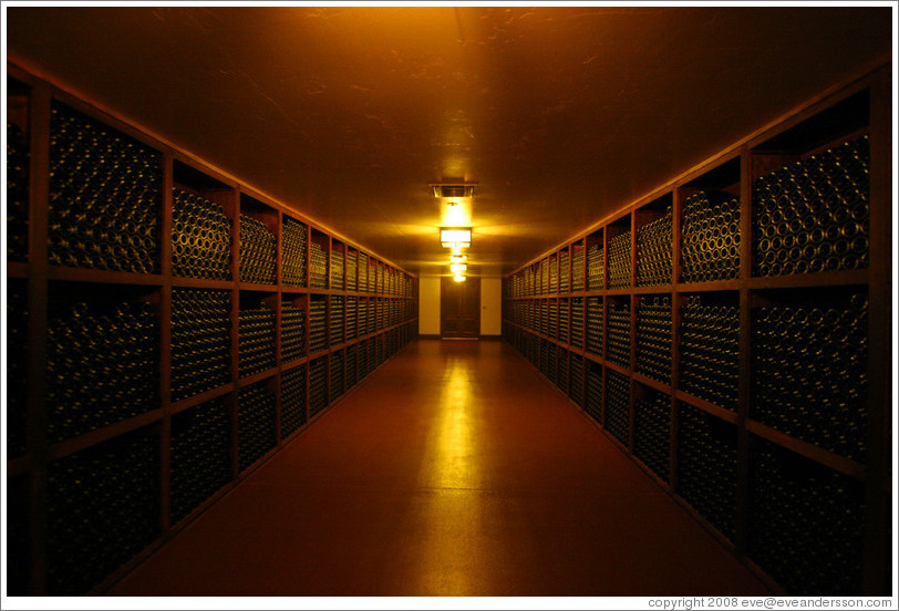 Room of empty bottles.  Gainey Vineyard.