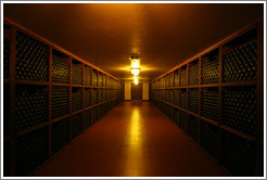 Room of empty bottles.  Gainey Vineyard.