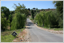 Bridge with duck crossing sign.  Koehler Winery.