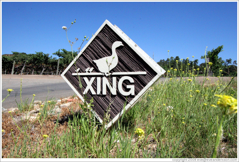 Duck Crossing sign.  Koehler Winery.