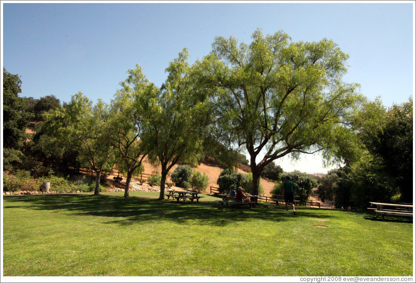 Picnic area.  Koehler Winery.